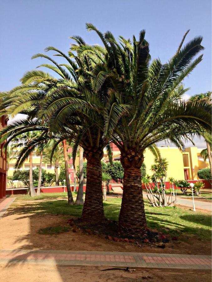 Fuerteventura - La Caleta, Parques Holandes * La Oliva